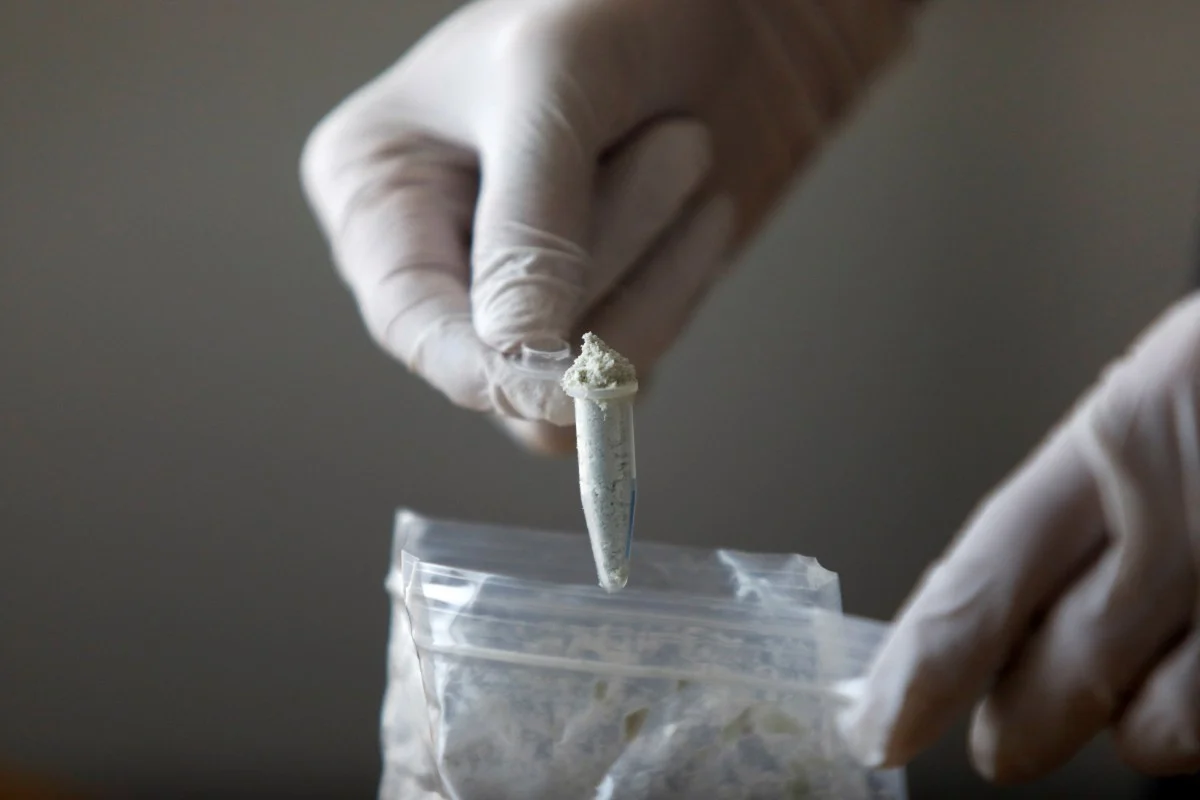 南华早报：分析人士称，在缺席已久后，芬太尼有望重回美中贸易议程