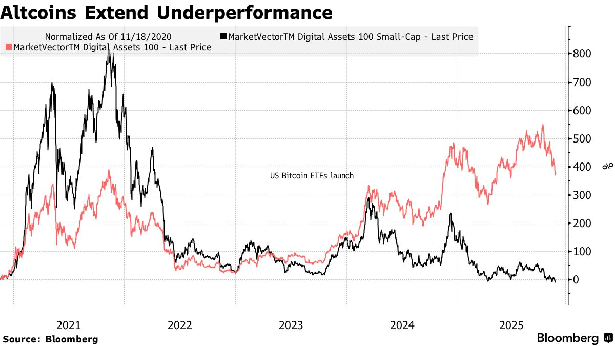 彭博：加密货币风险最高的代币暴跌至疫情时代水平